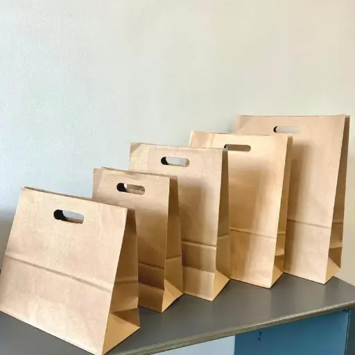 BOLSAS TROQUELADAS KRAFT